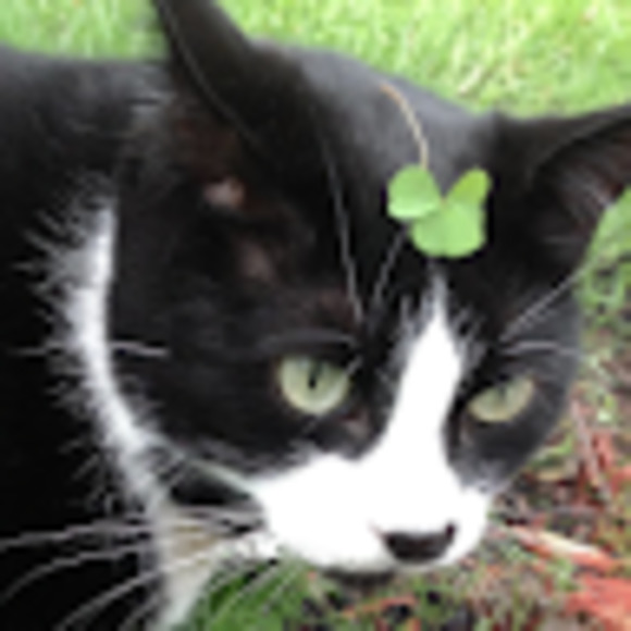 Meet your Posher, Young - Picture 1 of 1